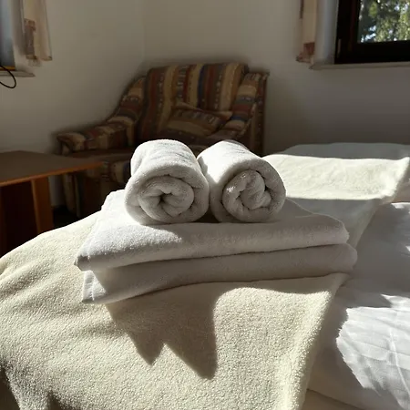 Guest house Ramzes 2